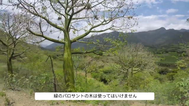 Amazon.co.jp: ルナスンダラ パロサント スティック ペルー産 (8本入り